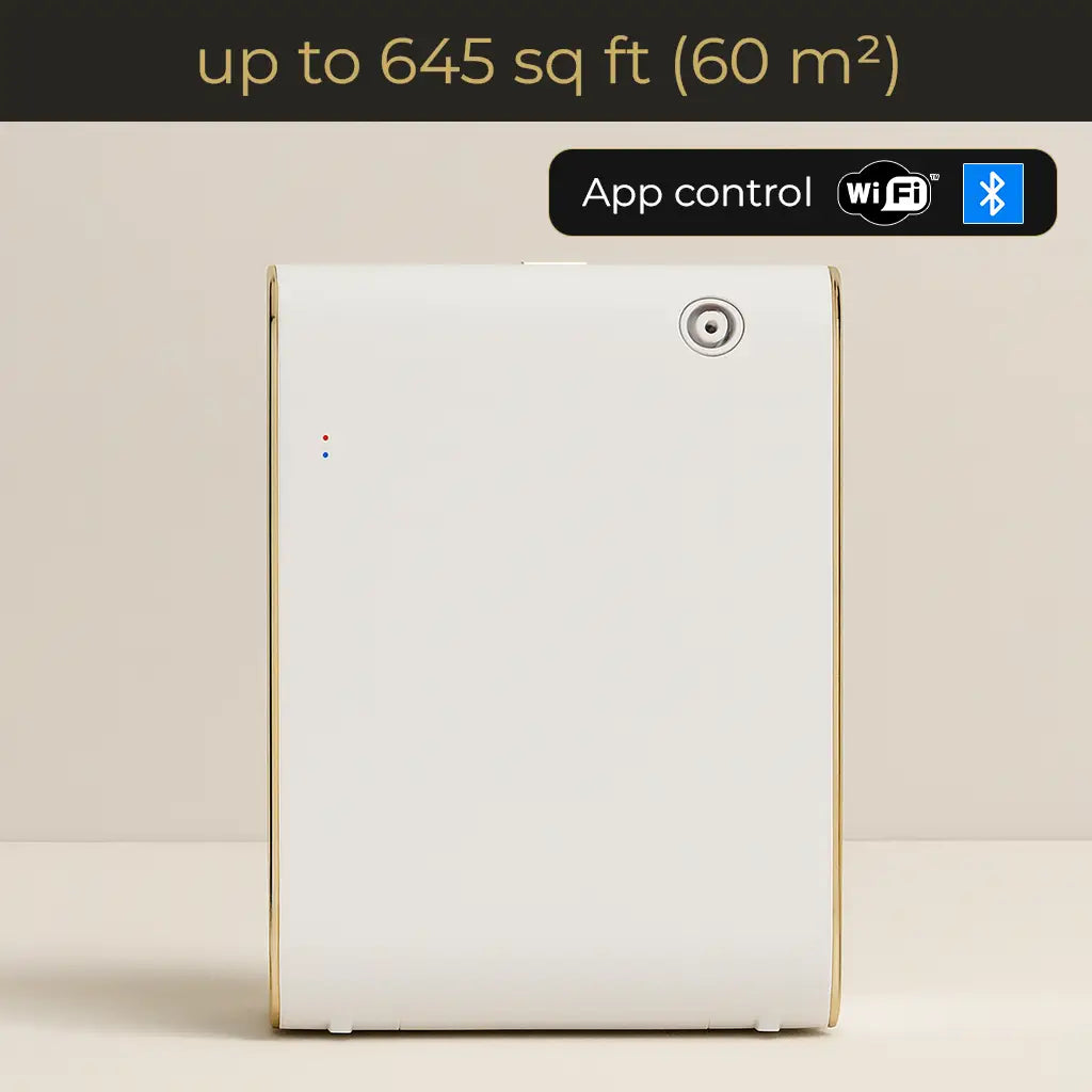 Lurea 60